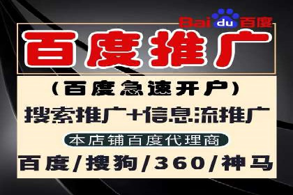 探索专业SEM托管的未来趋势与成功案例